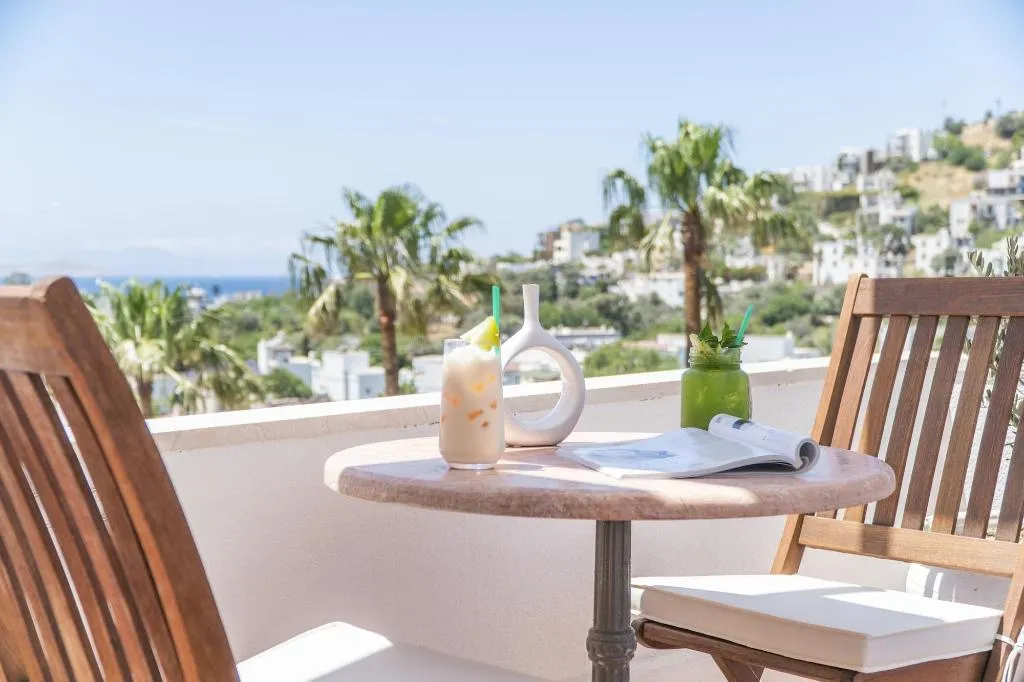 Double or Twin DELUXE Room, Elementa Luxury Boutique Hotel, Bodrum