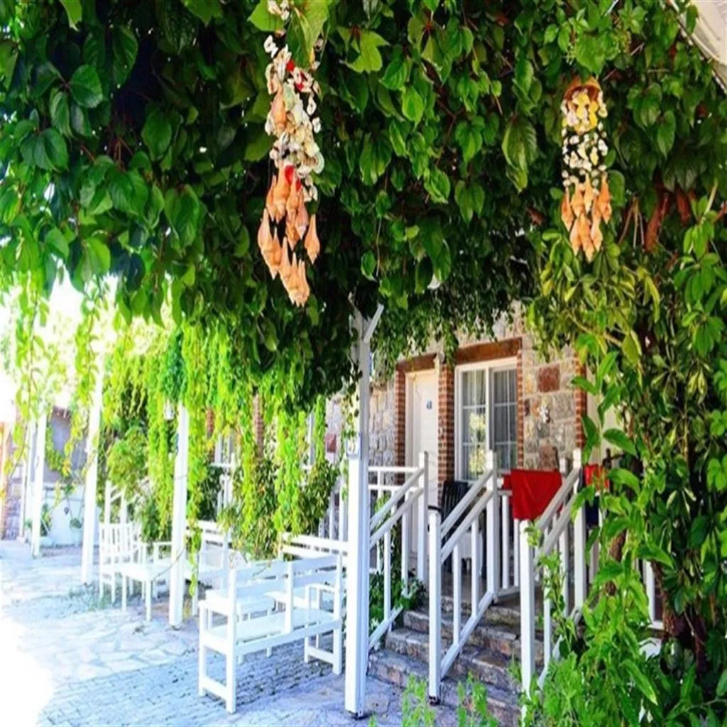 General view, Sarmasik Hotel Selimiye, Dalaman