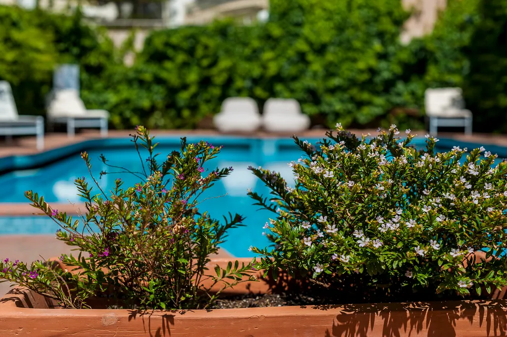 Pool, Civitel Akali, Crete
