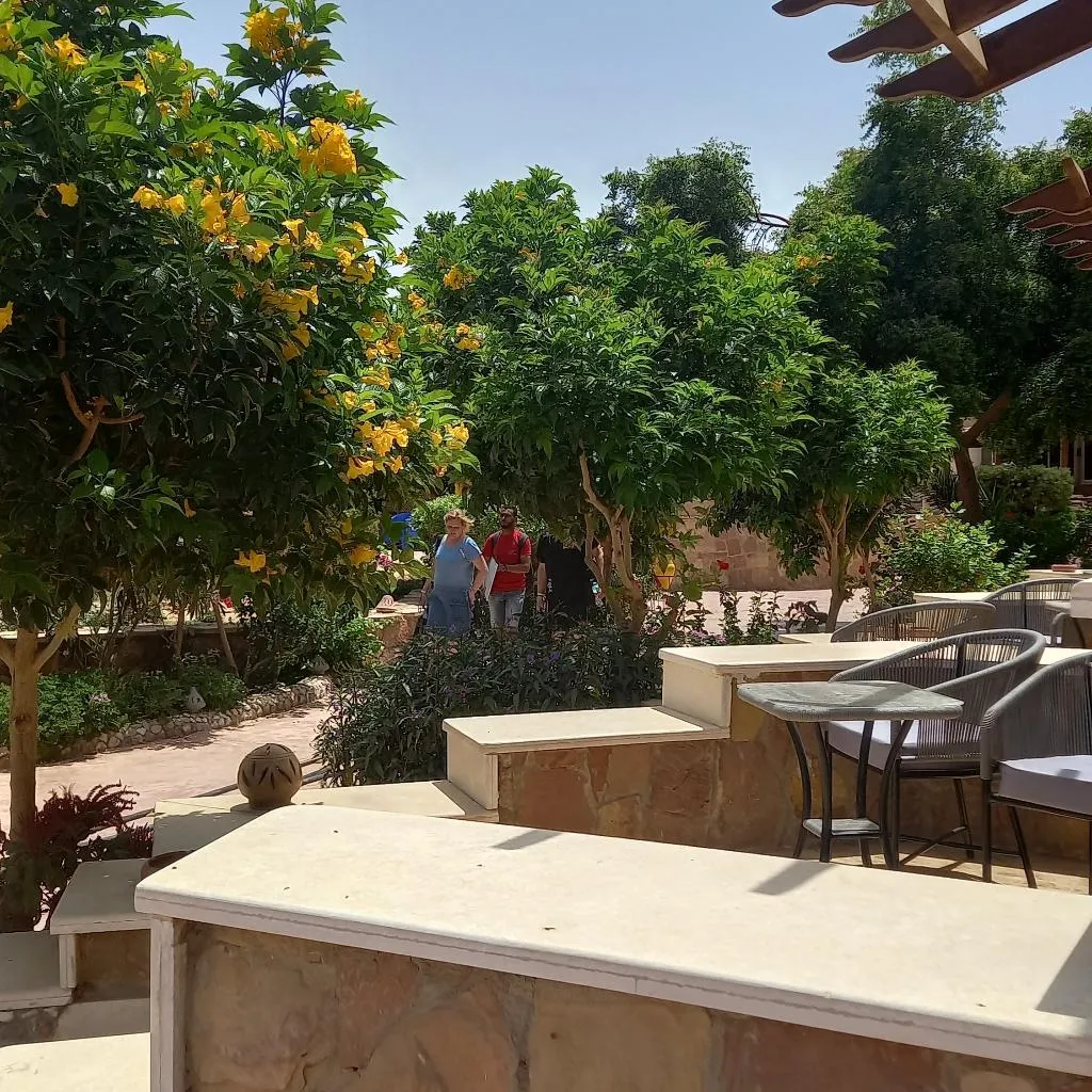 TWIN DELUXE GARDEN VIEW Room, Silver Beach Boutique Hotel, Red Sea Riviera