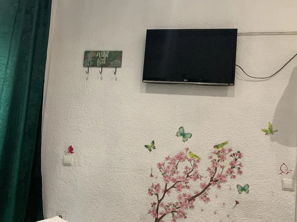 Double or Twin STANDARD Room, Pension Giraldilla, Seville