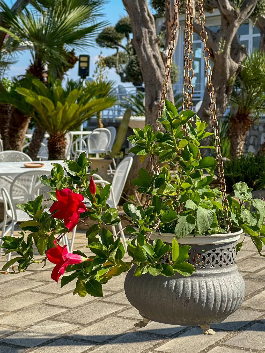 Terrace, Hotel Villa  Lubrense Sorrento, Naples