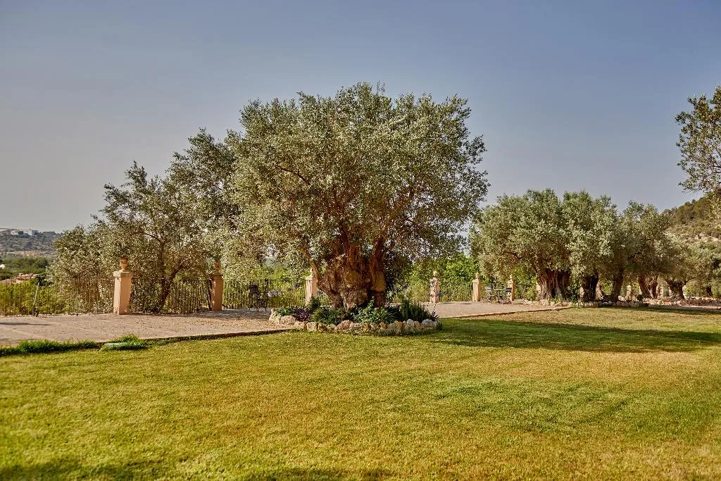 General view, Agroturismo Alquería Blanca, Majorca