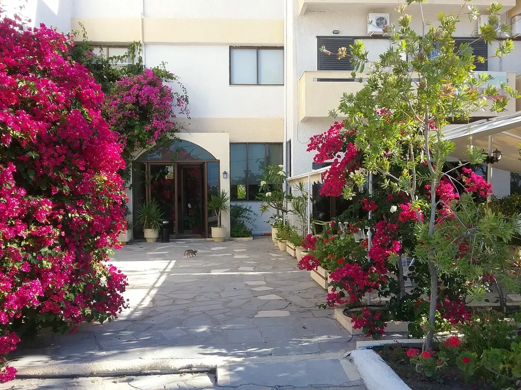 Terrace, Esperides Hotel, Crete