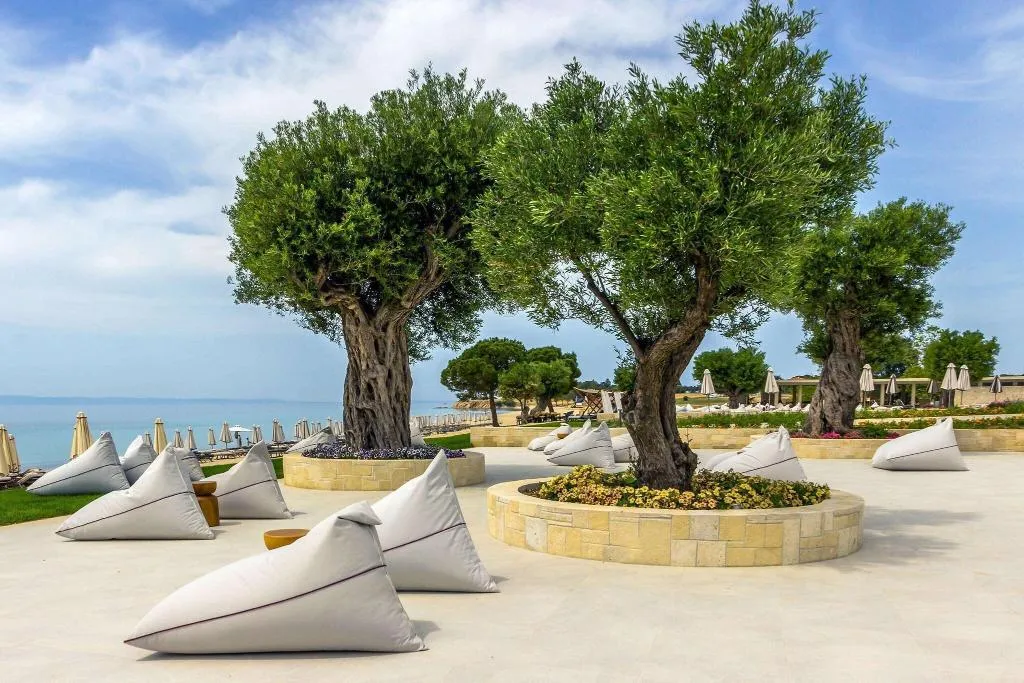 Beach, Ammoa Luxury Hotel & Spa Resort, Halkidiki
