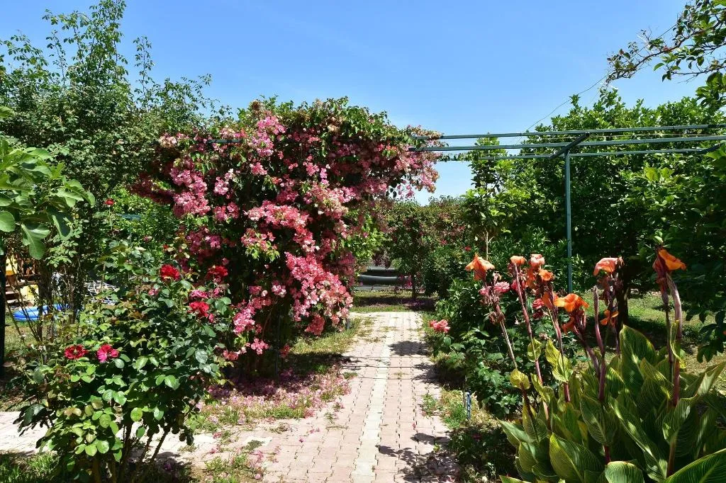 General view, Lemon Garden Lodge, Antalya