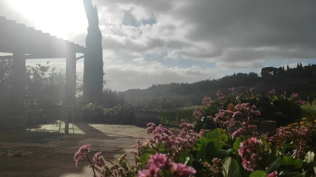 General view, Le Colline, Florence
