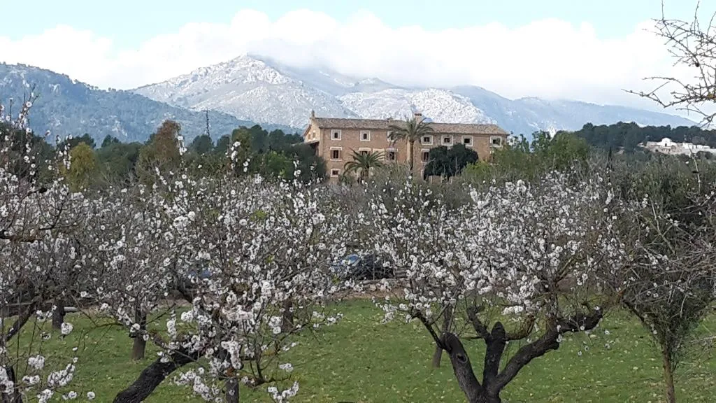 General view, Finca Hotel Can Estades, Majorca