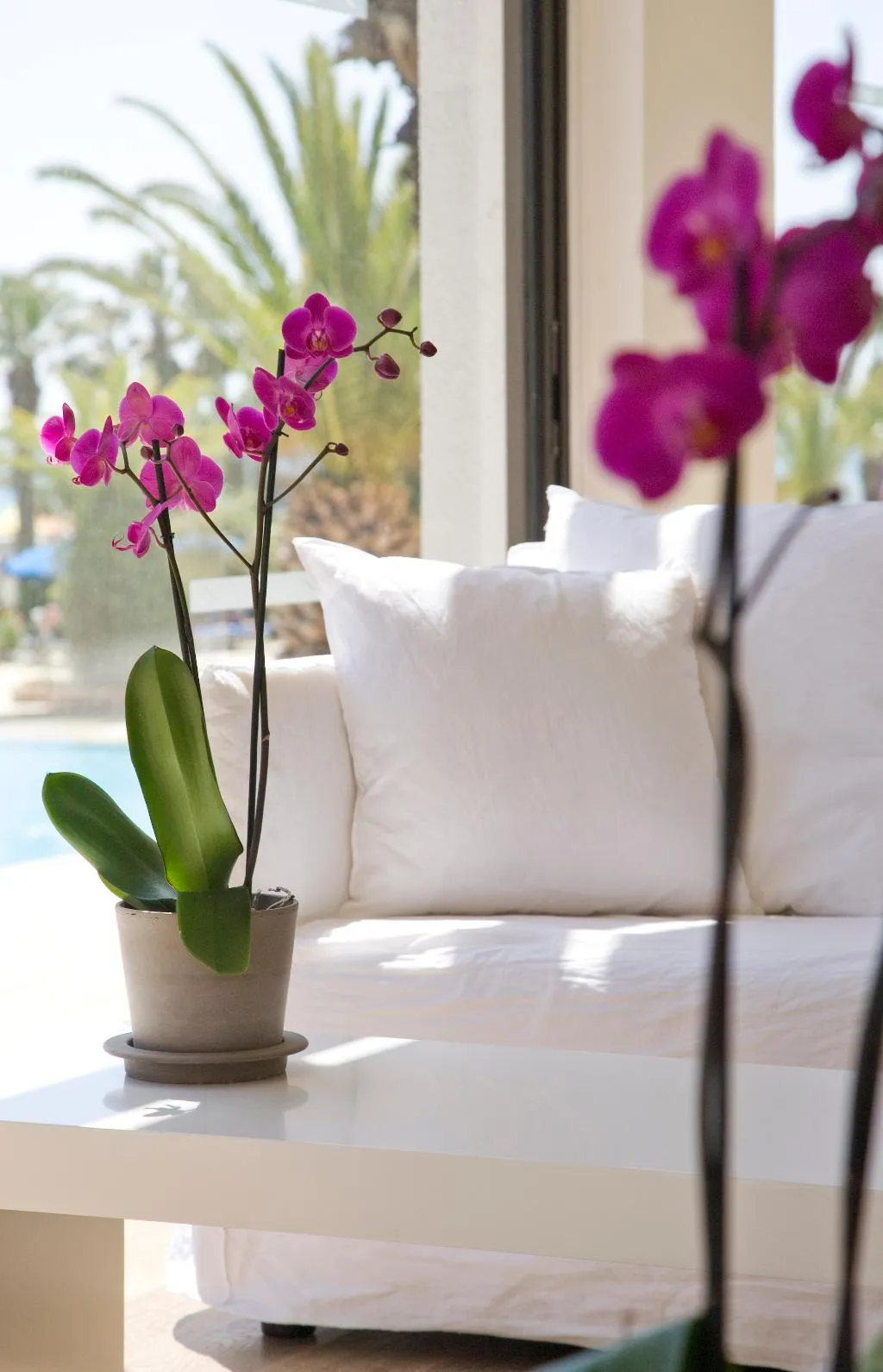 Lobby, Sandy Beach, Cyprus