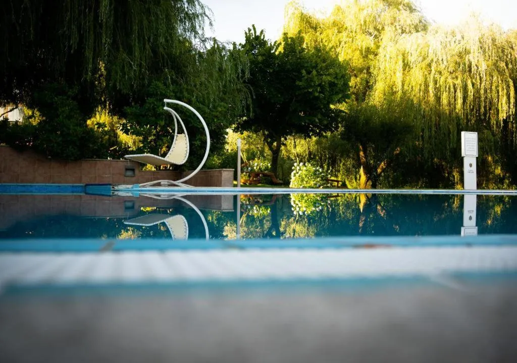 Pool, Olive Nature Hotel & SPA - Quinta Valle de Passos, Porto
