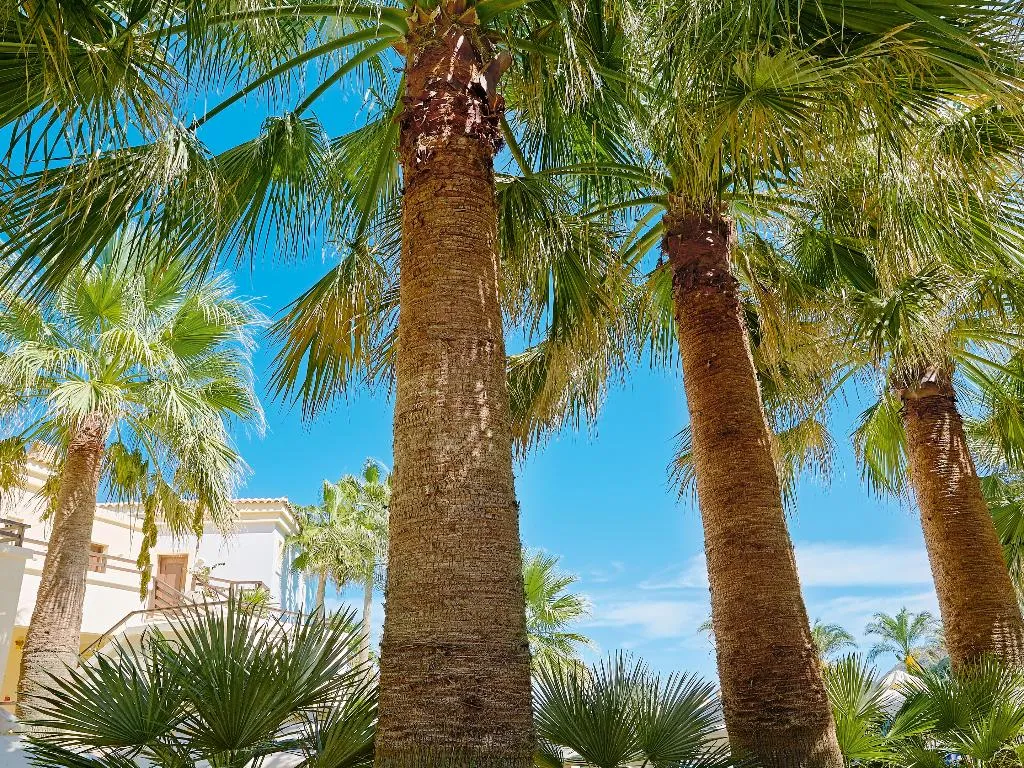 APARTMENT GARDEN VIEW Room, Grecotel Marine Palace & Aqua Park, Crete