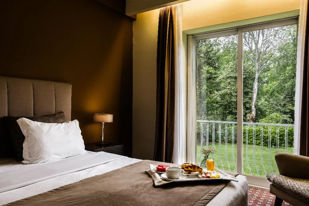 DOUBLE STANDARD Room, Grão Vasco - Historic Hotel and SPA, Porto