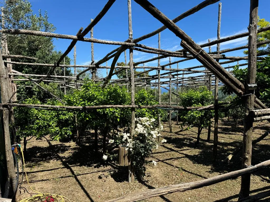 DOUBLE STANDARD Room, Agriturismo Piccolo Paradiso, Naples