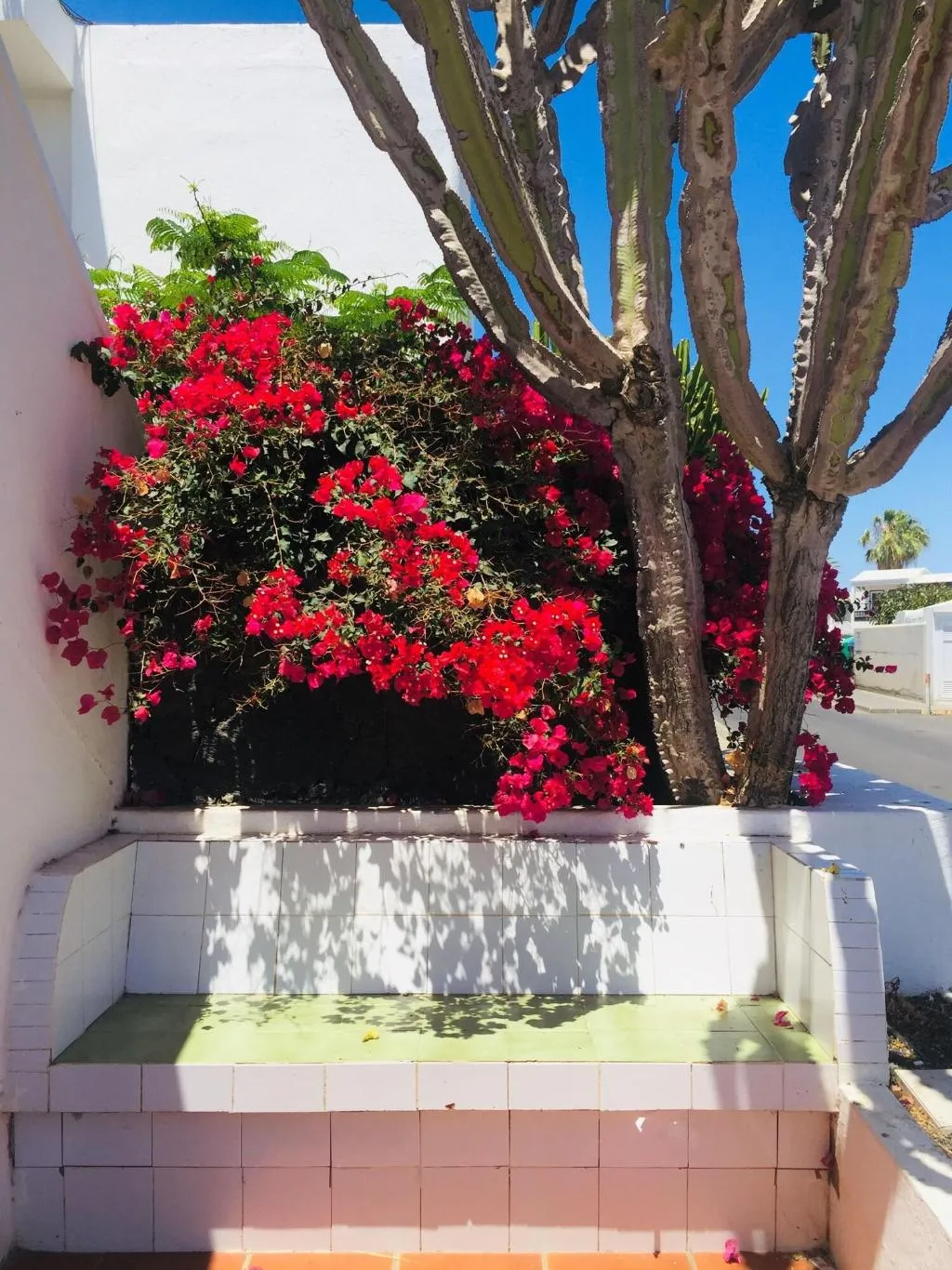 Lobby, Maribel, Lanzarote