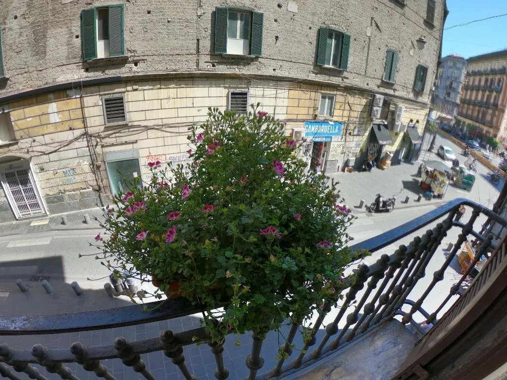 General view, B&B 248, Naples
