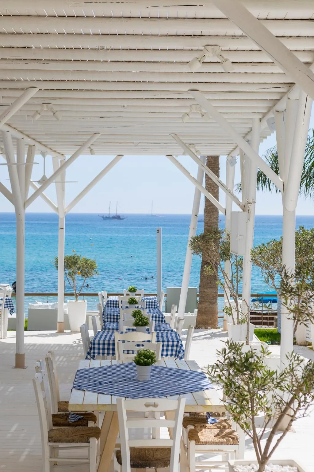 Terrace, Constantinos The Great Beach Hotel, Cyprus