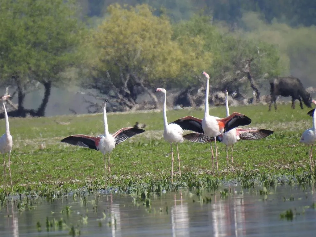 Sports and Entertainment, Viraggas, Halkidiki