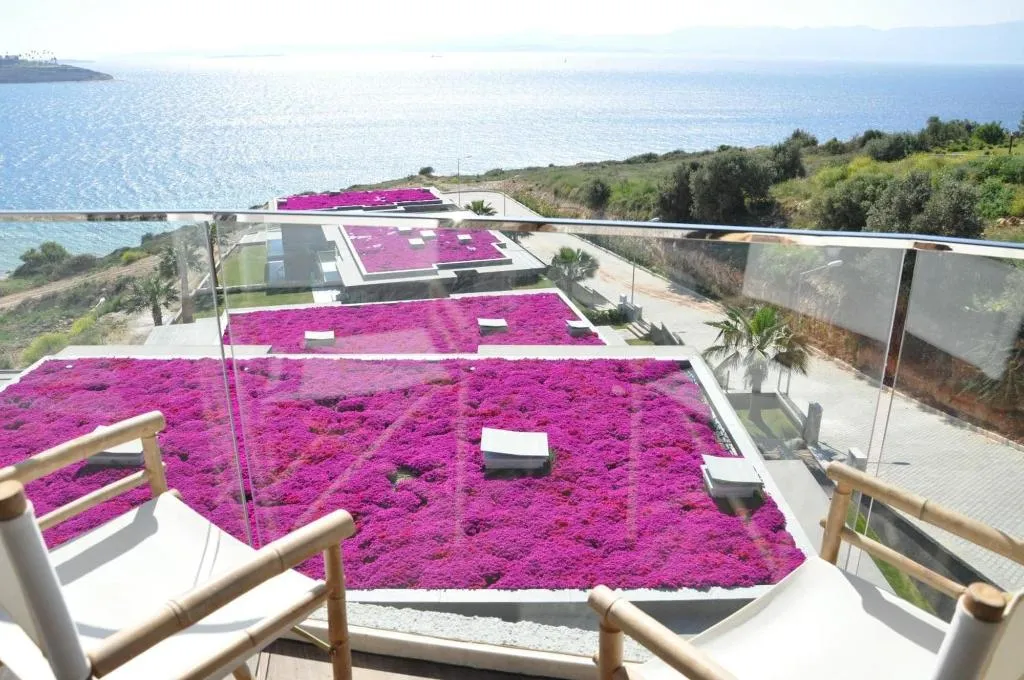 Room, Sato Design Hotel - Adults Only, Izmir