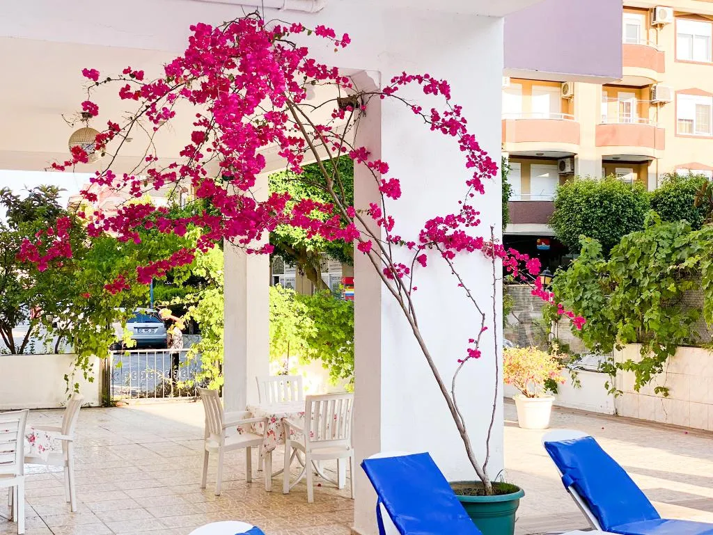 Pool, Bella Rose Apart Hotel, Antalya