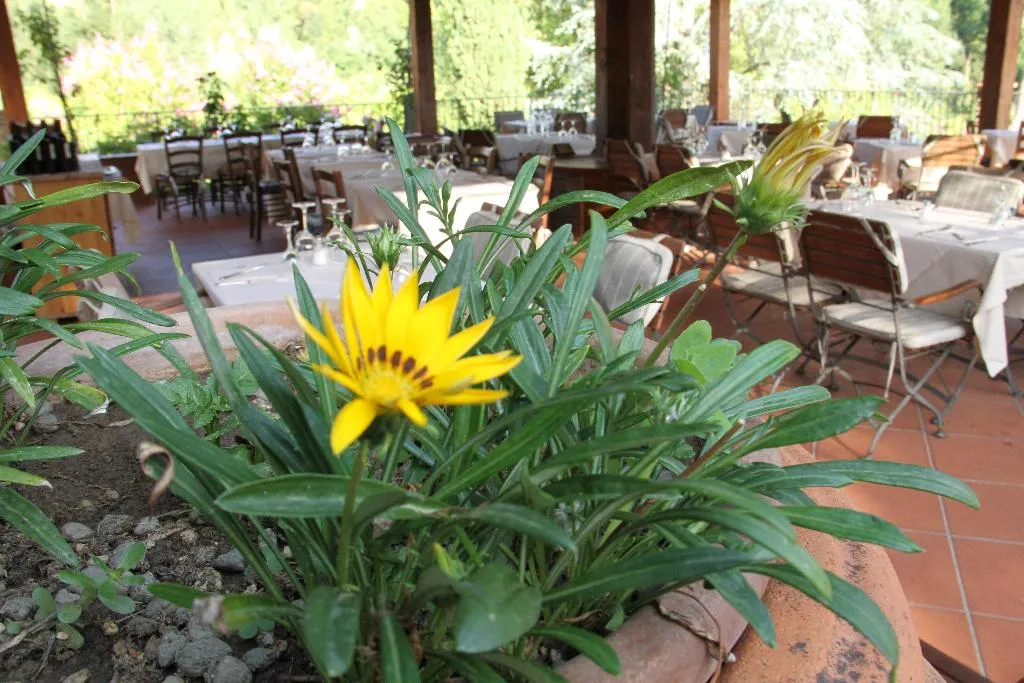 Terrace, Villa Rigacci, Florence