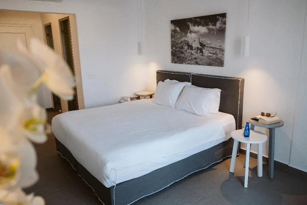 Double or Twin STANDARD Room, Argo Mykonos, Mykonos