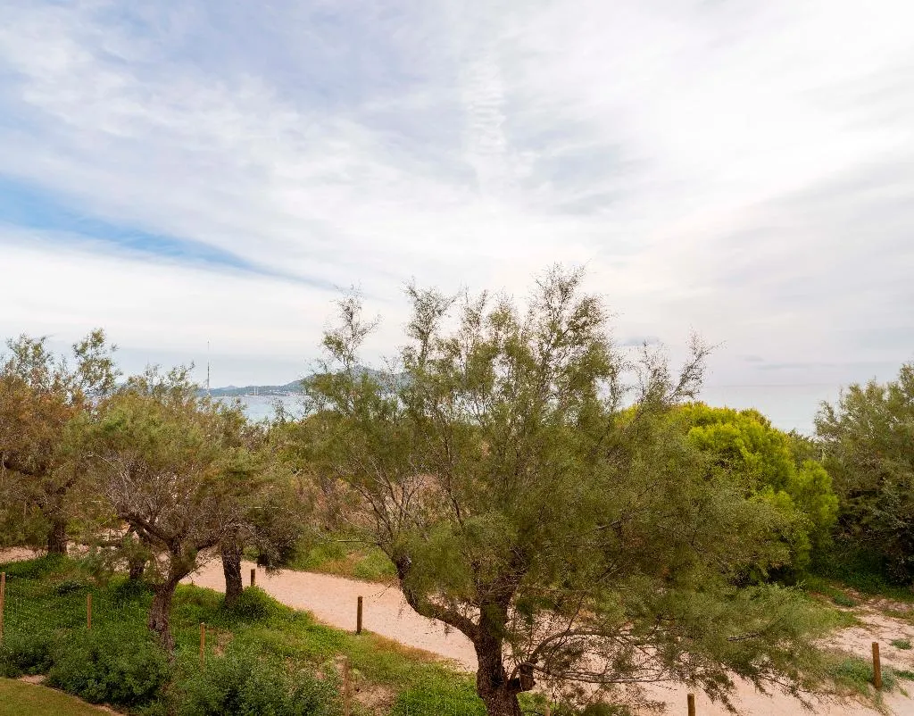 SUITE BEACH FRONT Room, Iberostar Selection Albufera Park All Inclusive, Majorca
