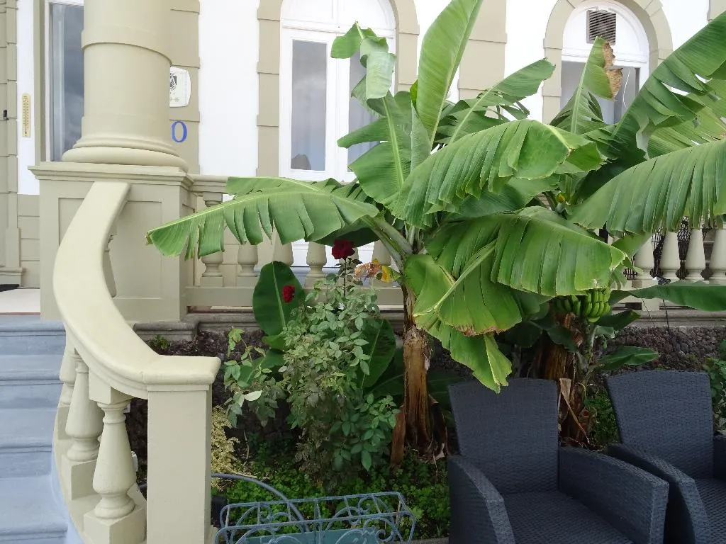 Terrace, Monte Carlo, Madeira