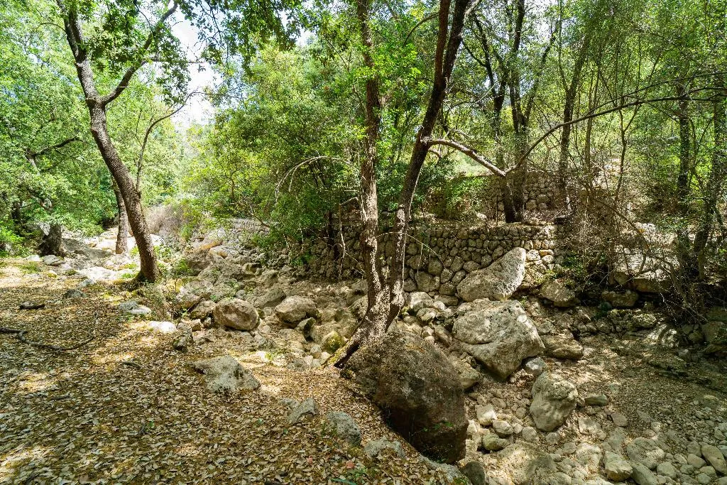Sports and Entertainment, Hotel Rural S'Olivaret, Majorca