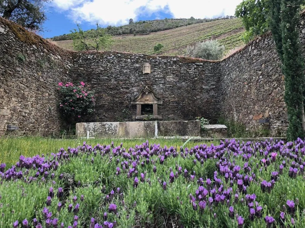 General view, Quinta Da Gricha, Porto