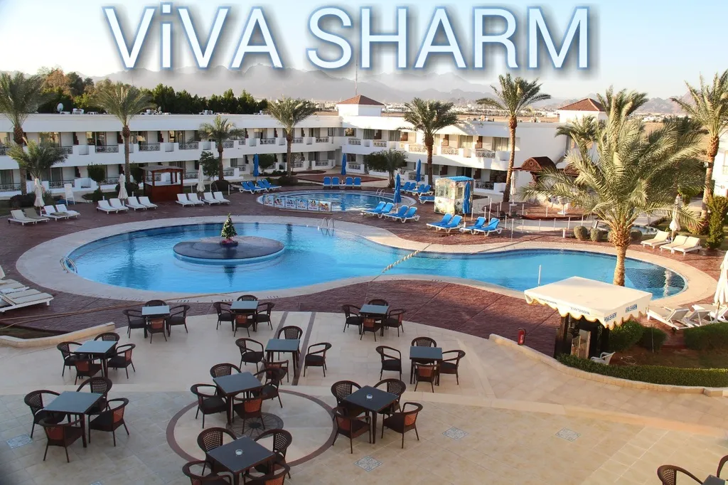 Terrace, Viva Sharm Hotel, Red Sea Riviera