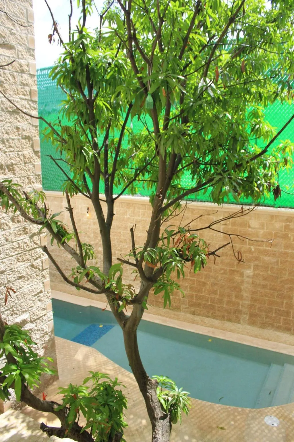 Room, Hotel Angelo's, Playa Del Carmen