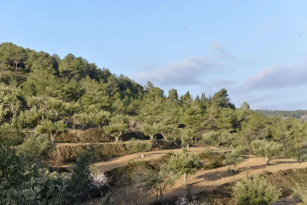 Terrace, Hotel Rural Masia La Mota, Costa Blanca