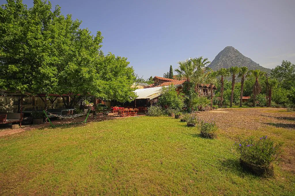Restaurant, Yavuz Motel Adrasan, Antalya