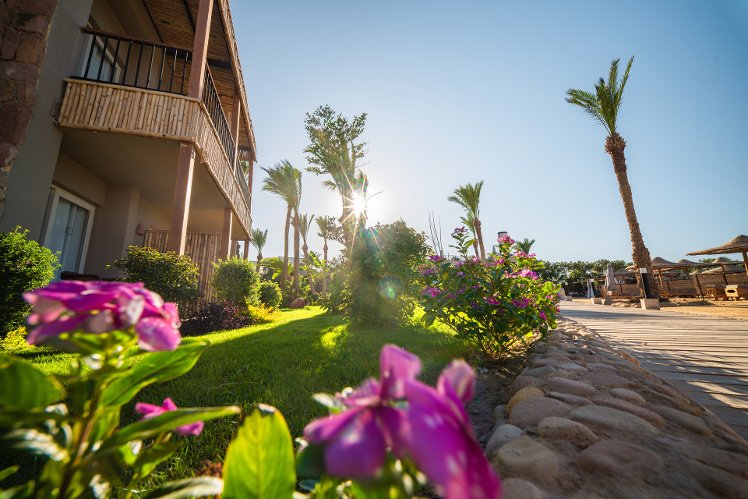 Ananea Hurghada, Red Sea Riviera