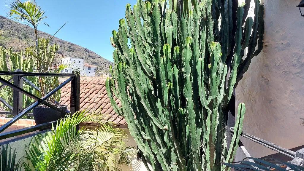 Conferences, Apartamentos Monasterio de San Antonio Only Adults, Tenerife
