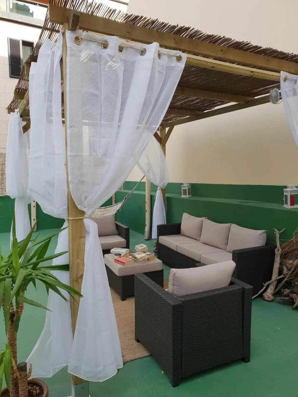 General view, Cactus Host, Gran Canaria