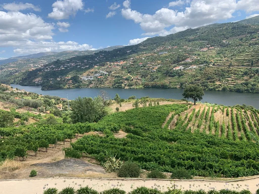 TWIN RIVER VIEW Room, Douro Palace, Porto