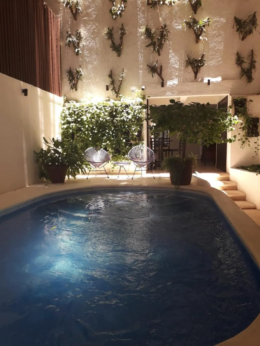 Pool, Casa Ticul, Playa Del Carmen