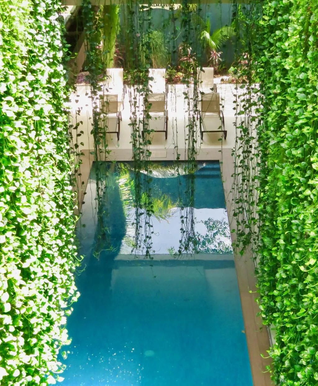 Pool, Palmarena by Nah Hotels, Playa Del Carmen