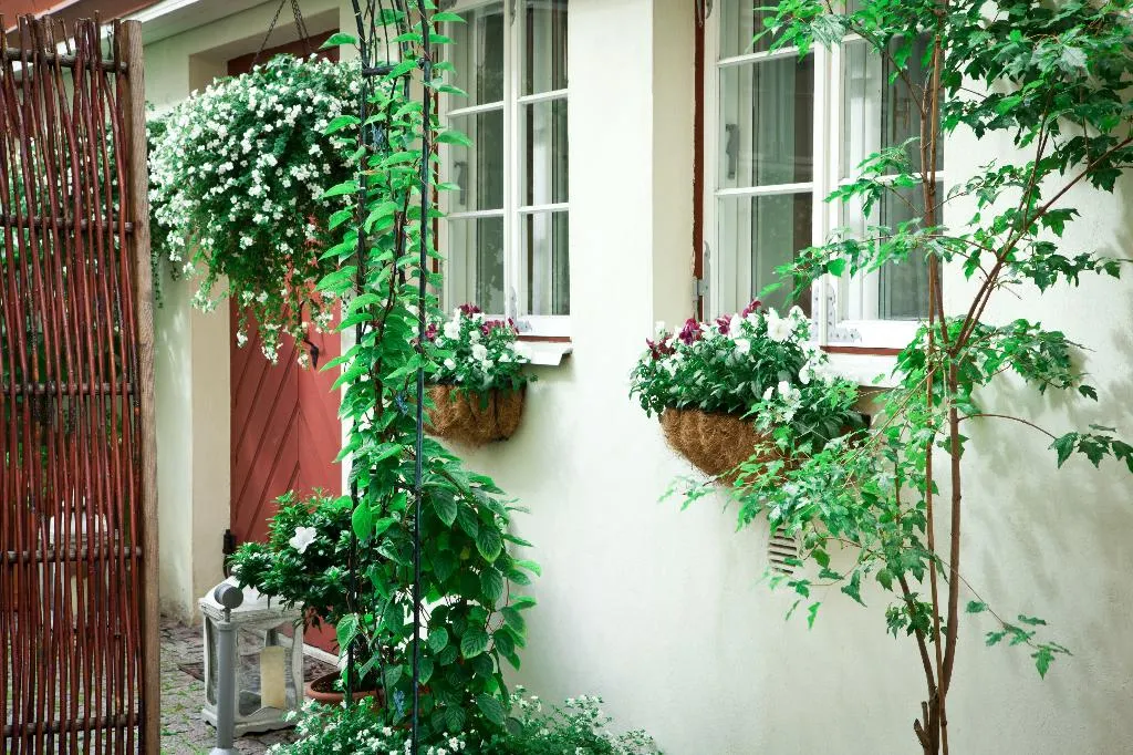 Terrace, Three Sisters Hotel, Tallinn