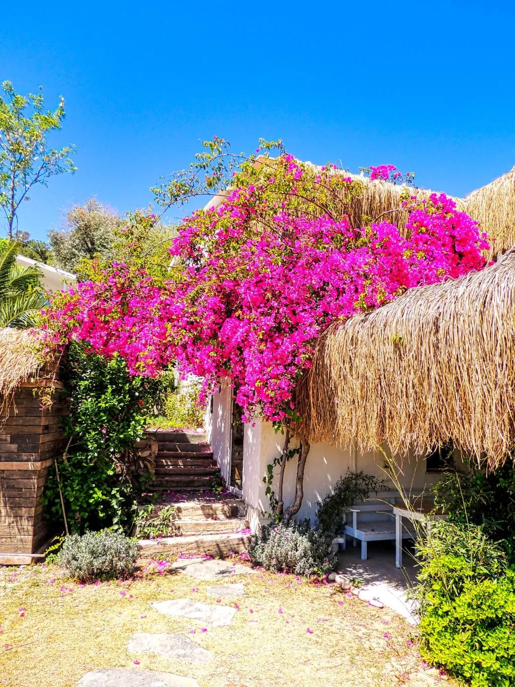 General view, Oza Boutique Hotel, Bodrum