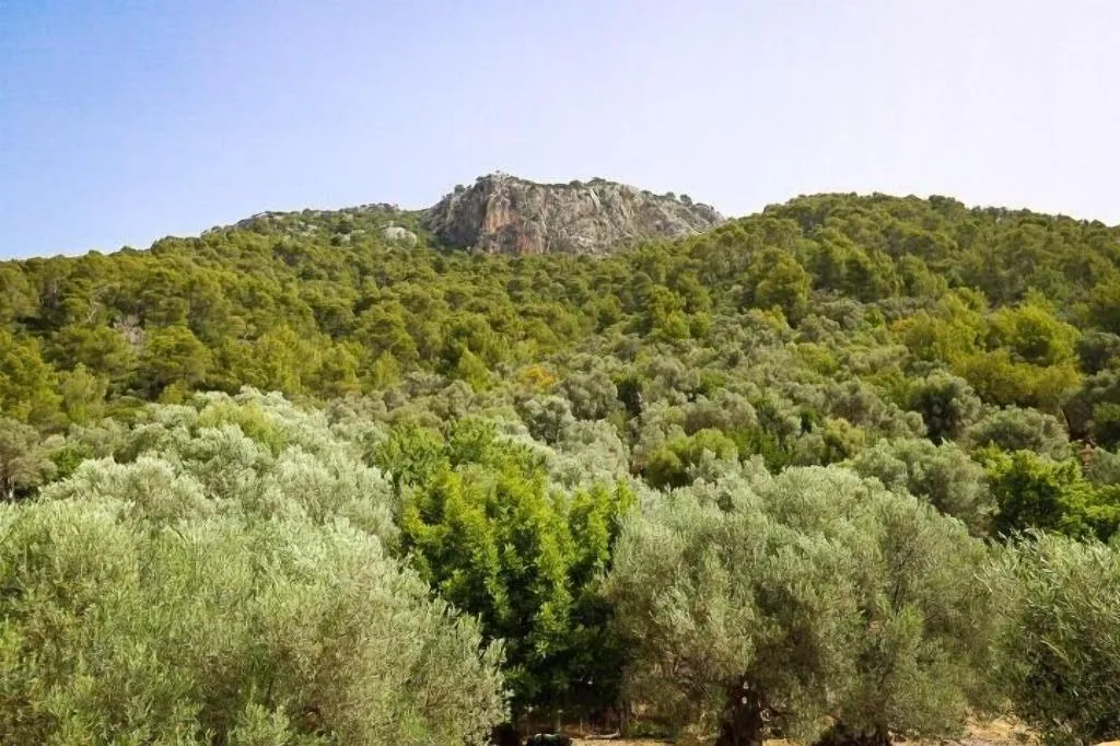 Room, Finca Hotel Es Castell, Majorca