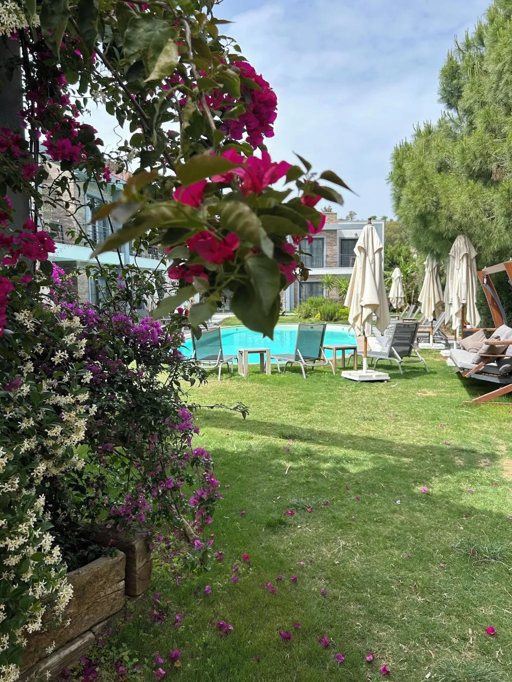 Restaurant, Malta Hotel Bodrum, Bodrum