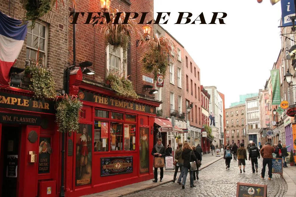 General view, Castle Hotel, Dublin