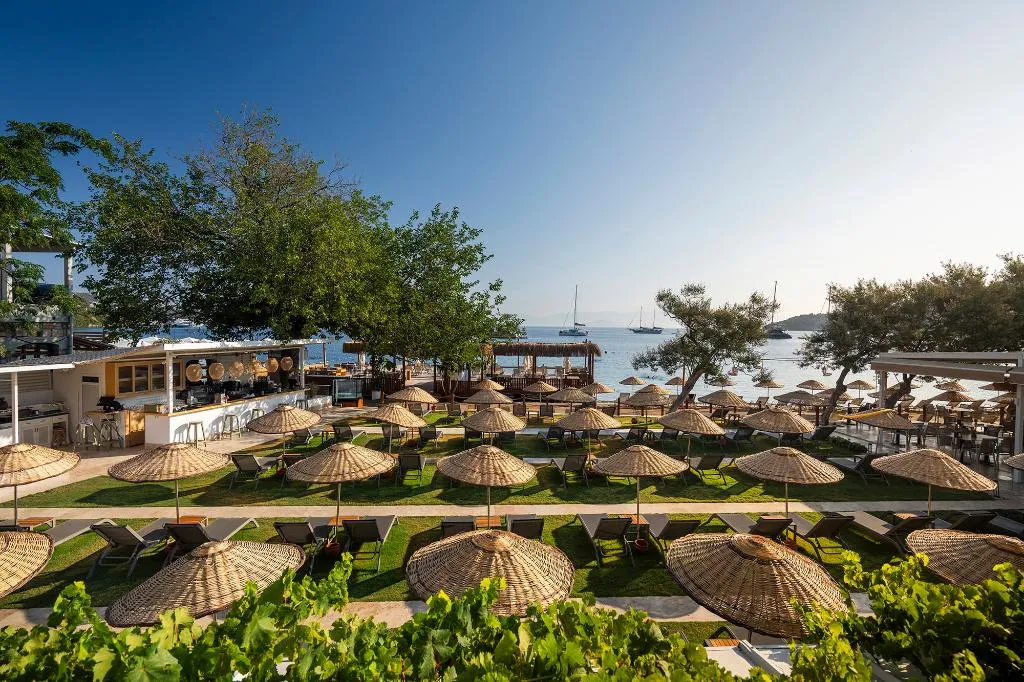 Bar, Daphnis Hotel, Bodrum