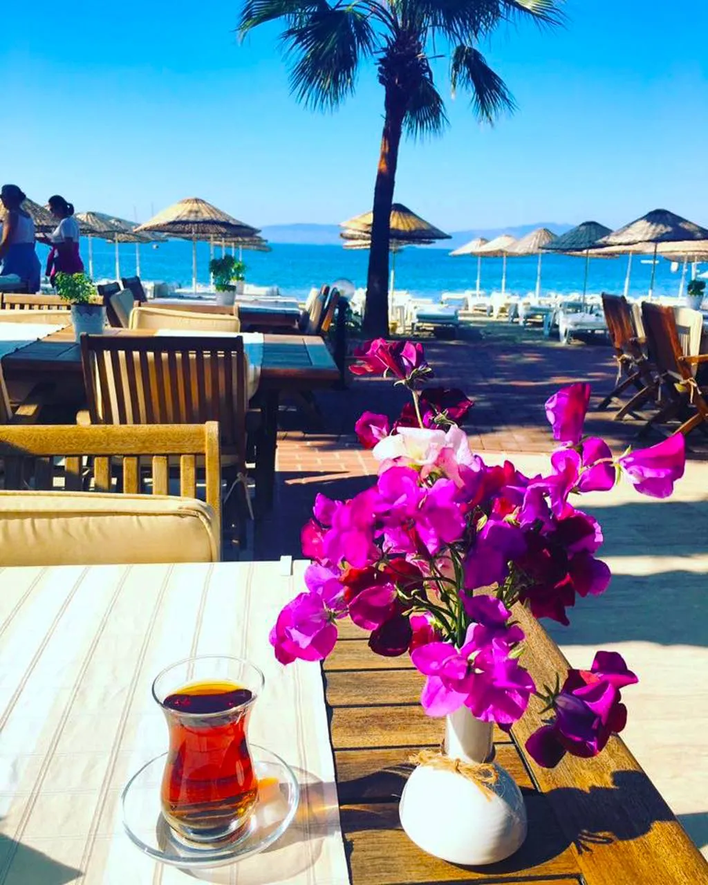 General view, Toloman Hotel & Apartments, Bodrum