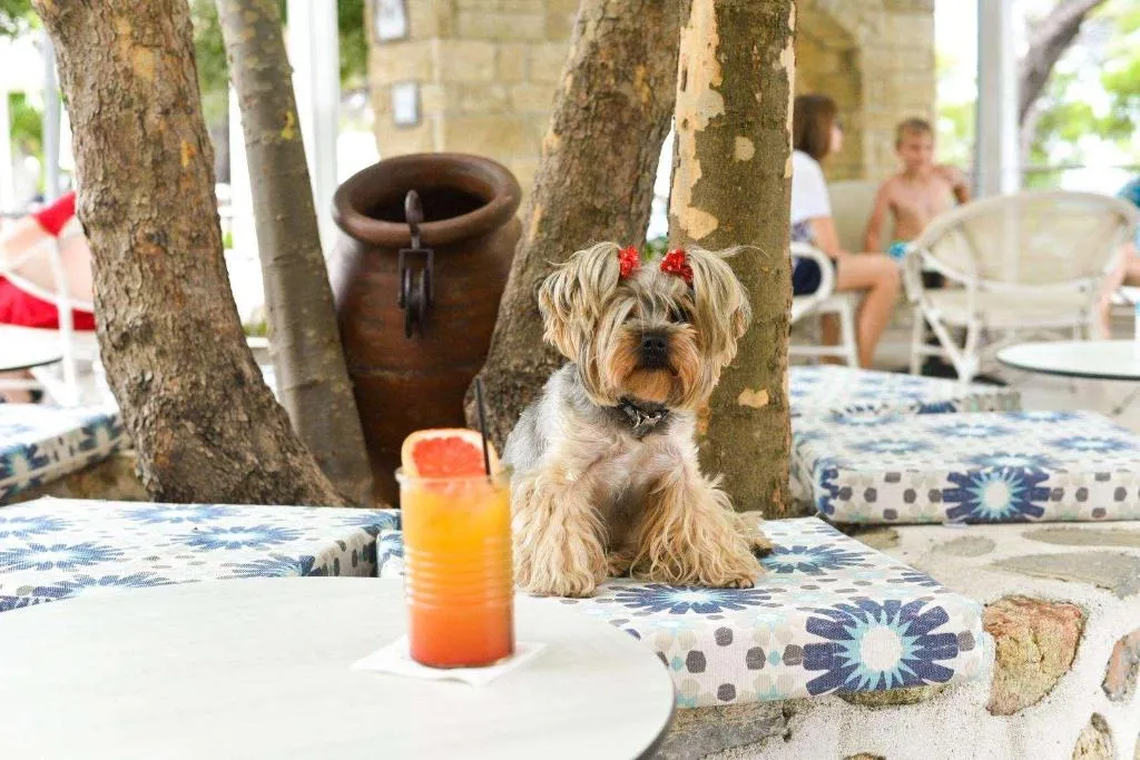 Sports and Entertainment, Acrotel Elea Beach, Halkidiki