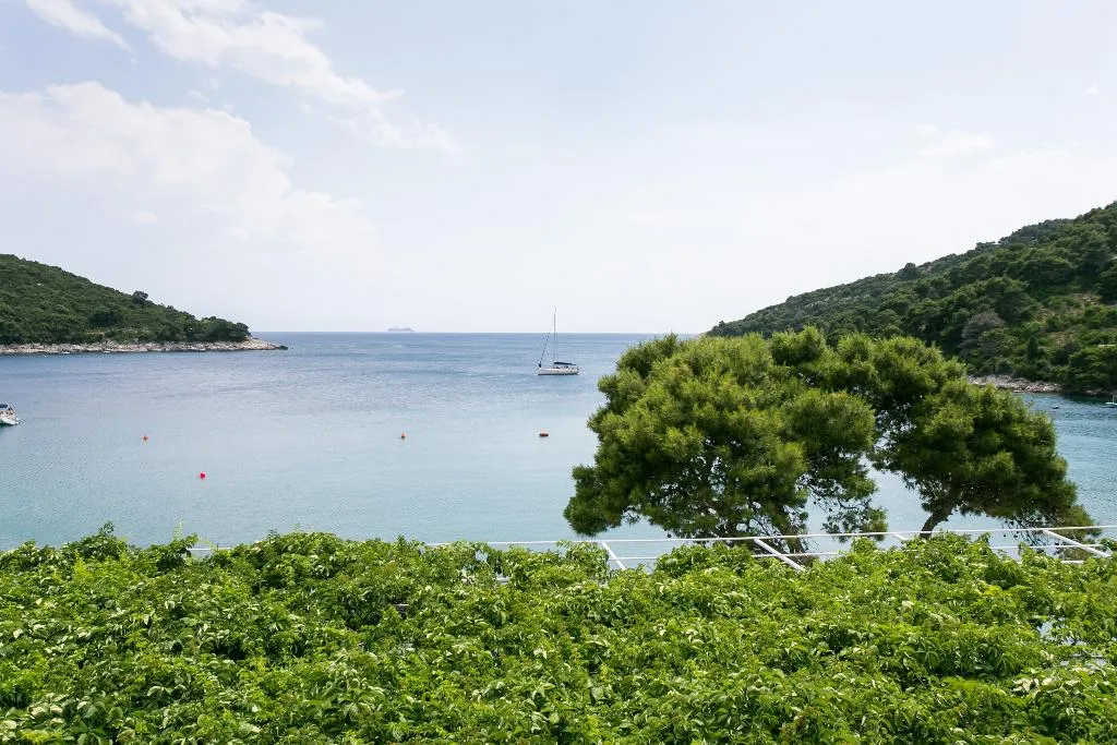 General view, Apartments Franka Saplunara, Dubrovnik