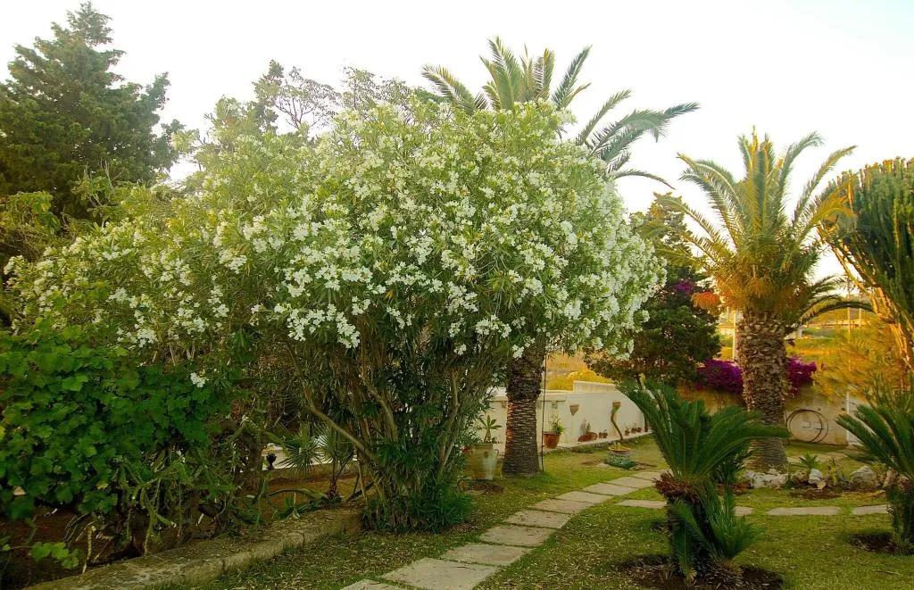 Lobby, La Rosa Sul Mare, Catania