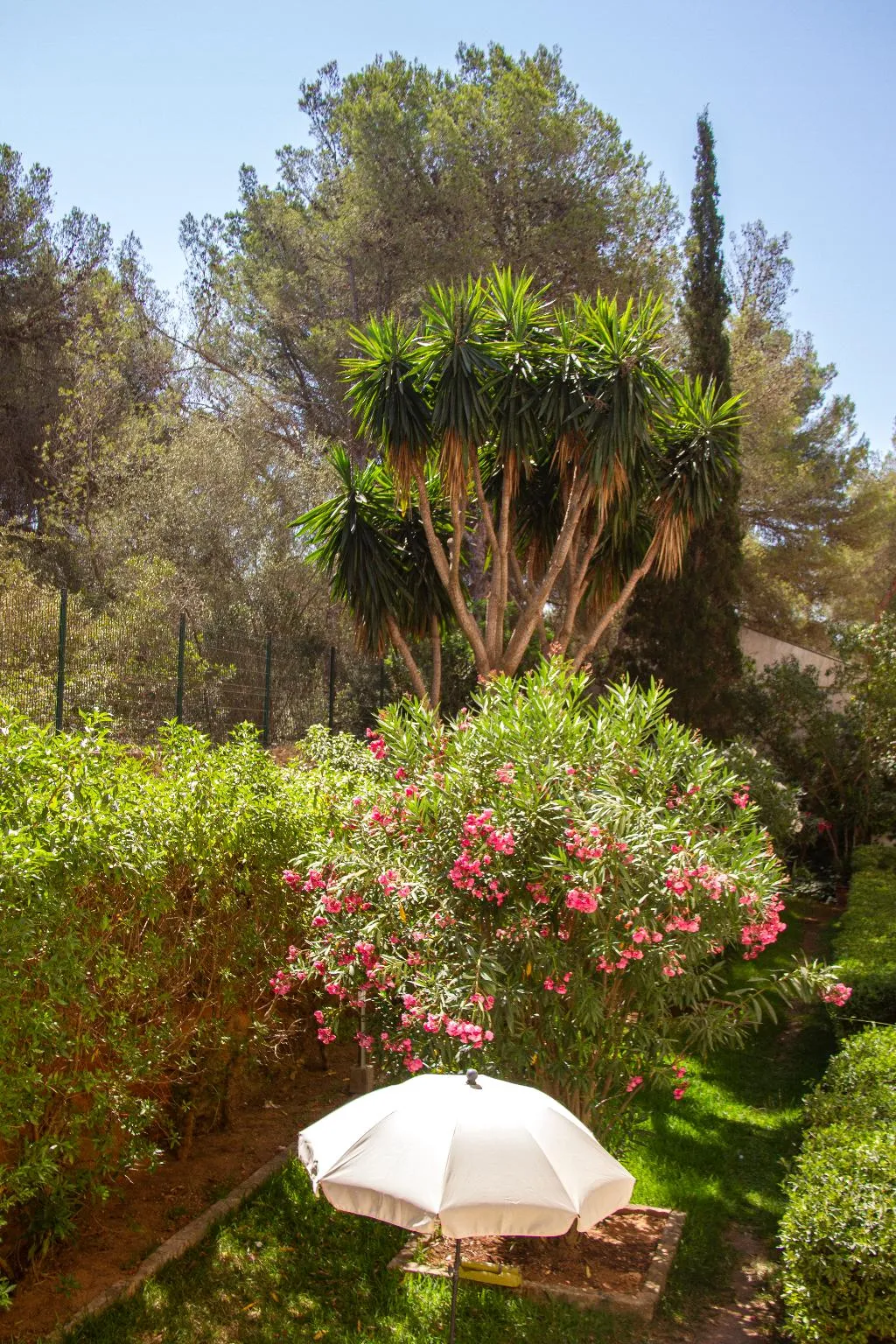General view, Hotel Selva Arenal, Majorca